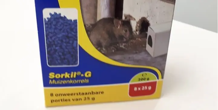 muizengif