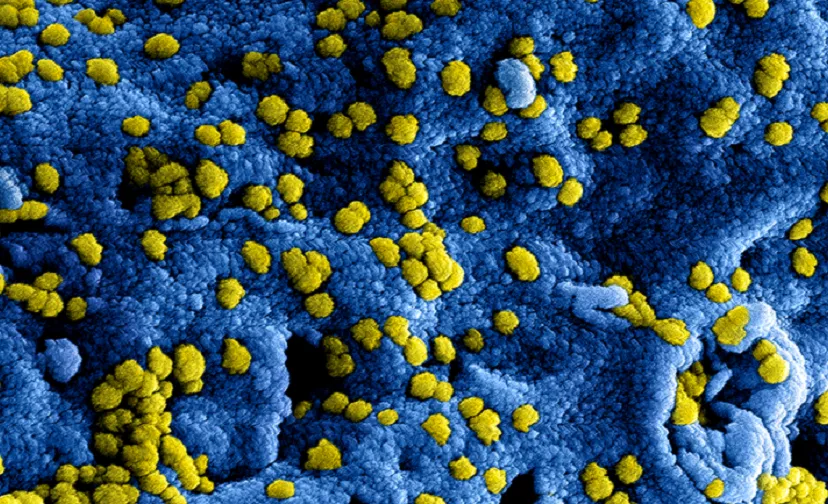 nieuw coronavirus in china