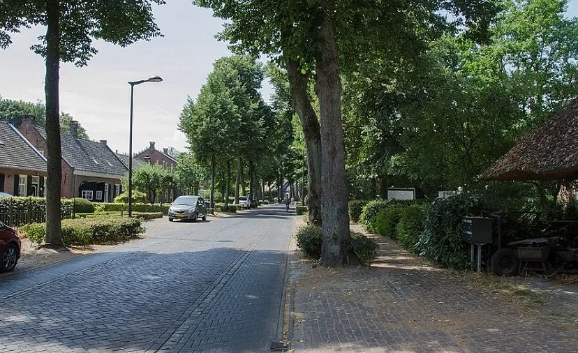 oostflank ton van rooij 40b2d14614