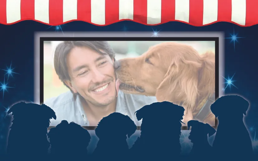 pers dierendag2019 ac 1 915x518