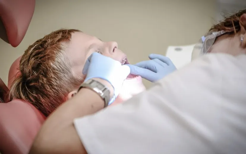 pexels pixabay 52527 915x518 1