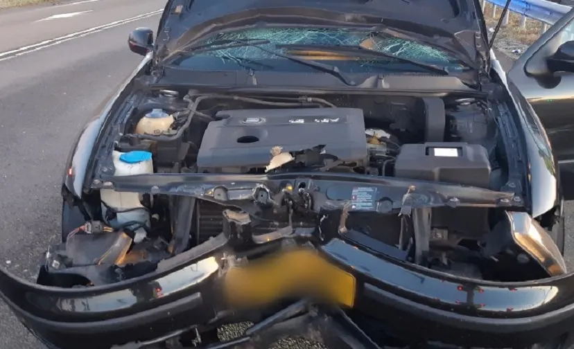 point blur mar062021 102049