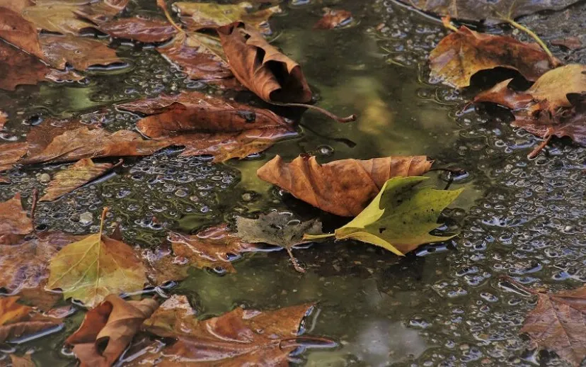 pool 4548967 1920 915x518 1