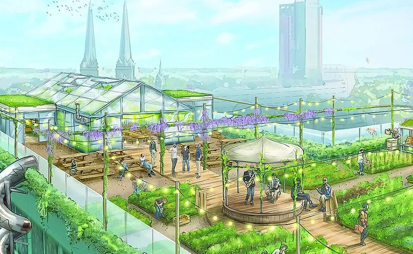 rooftop rumour praatplaat 4322918beb