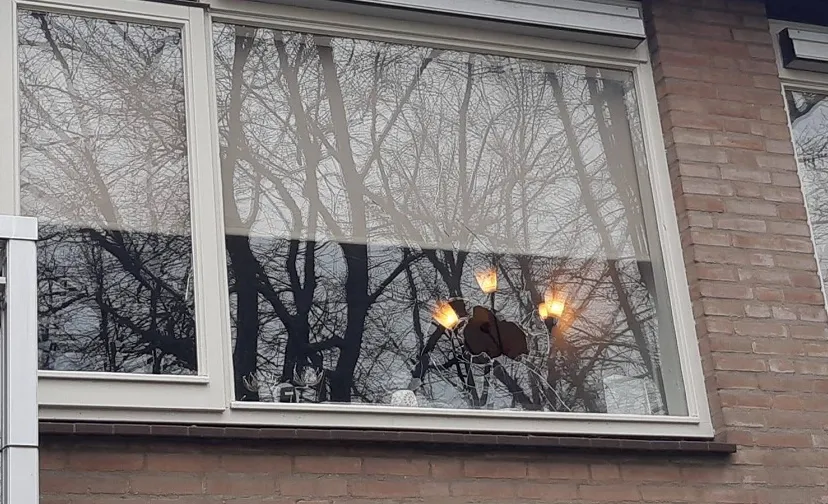 ruit vernield waalwijk