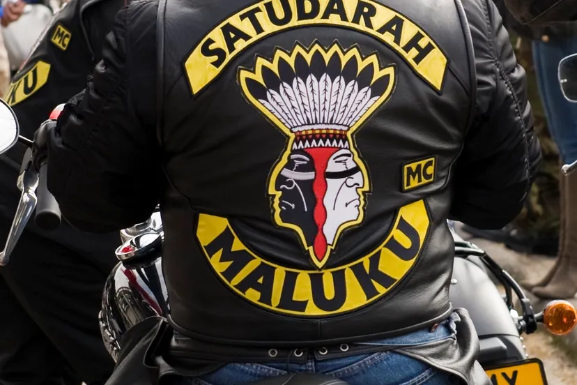 satudarah