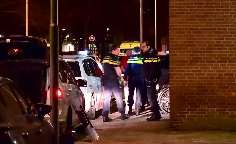 steekpartij lage witsiebaan