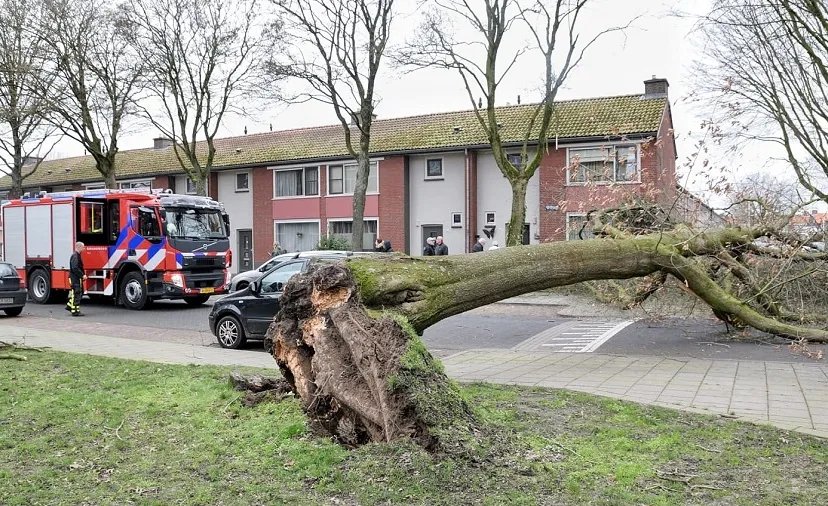 stormschade edisonlaan