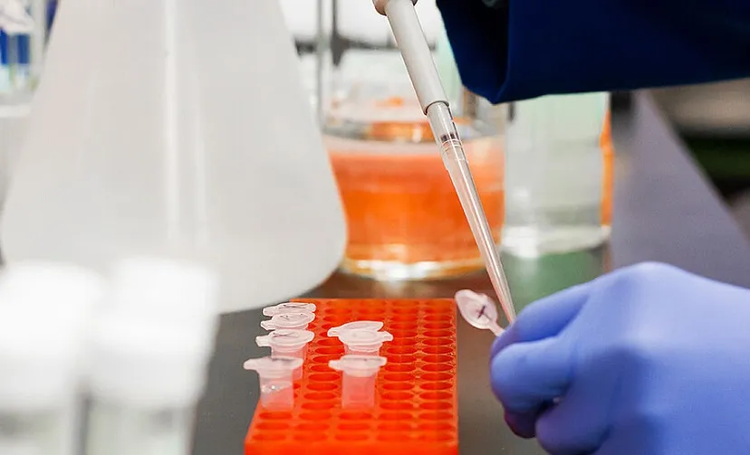 testen corona d92f27db78