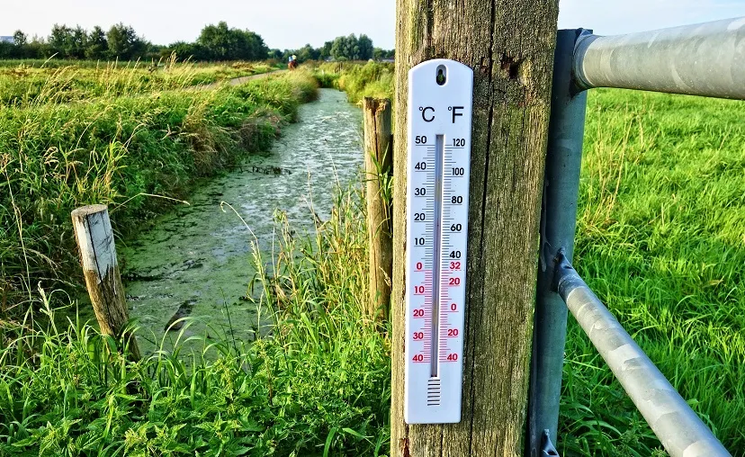 thermometer 2906817 1920