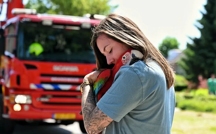 toby de kort 20230604121536 022558