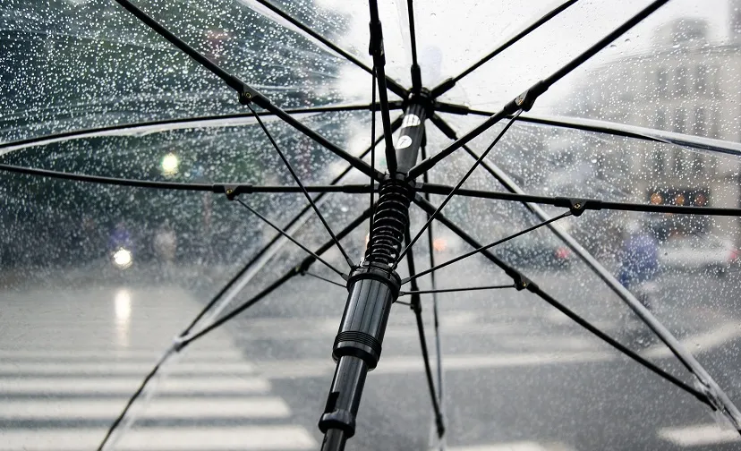 umbrella 4425160 1920