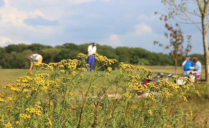 wandelroute prise bij 18e9f853f6