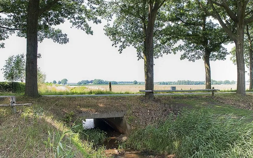 wijkevoort 85badde5b3 915x518 1