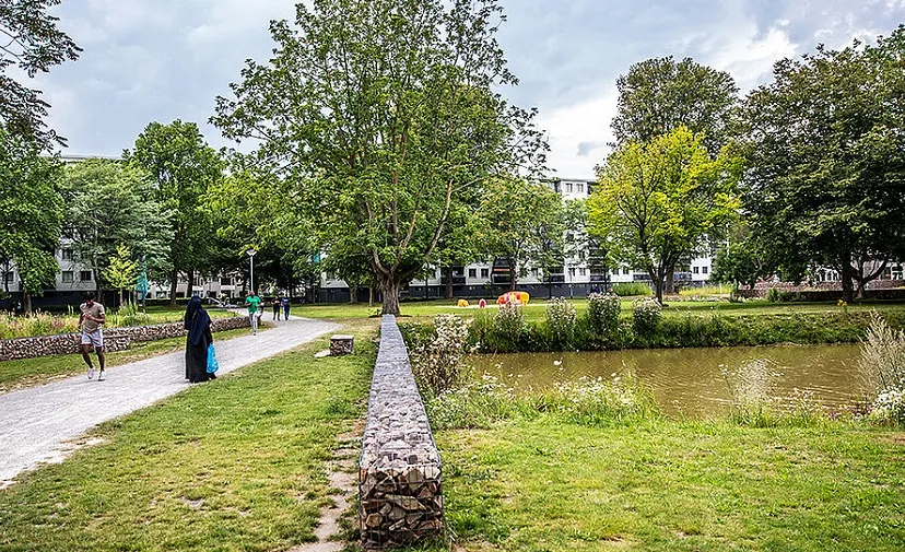 ypelaerpark c69c4cbce3