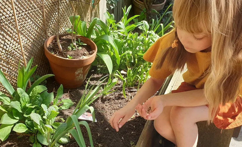 zaaien in de tuin