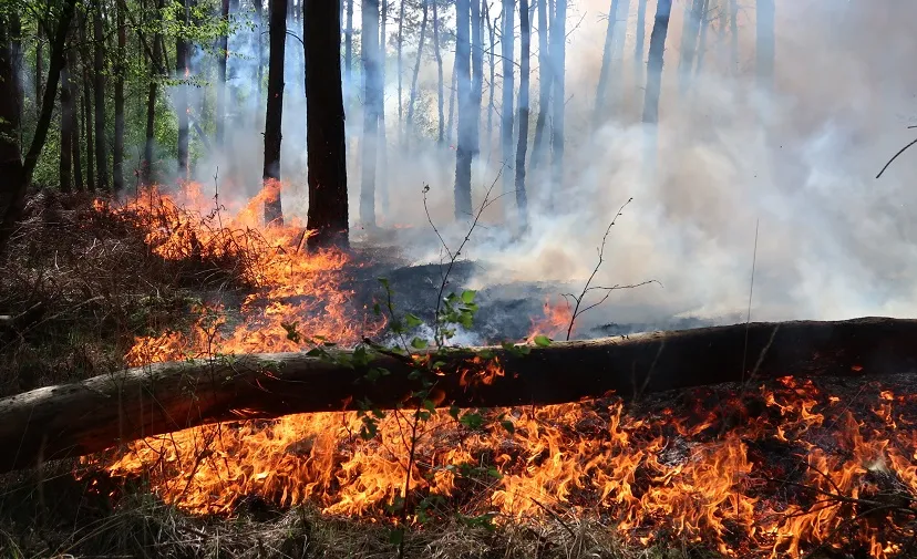 zeer grote brand moergestel