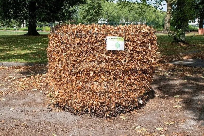 csm bladkorven site f42d313e08