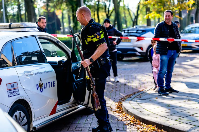 jack brekelmans 20241024131606 6