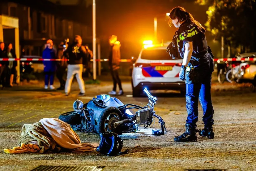 jack brekelmans 20241107203057 4