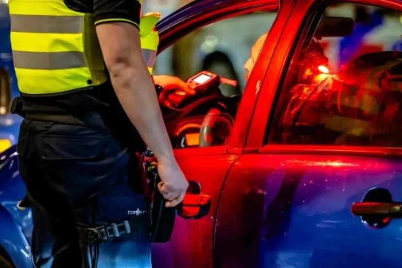 482156098 17940483251976689 1558405047245865561 n