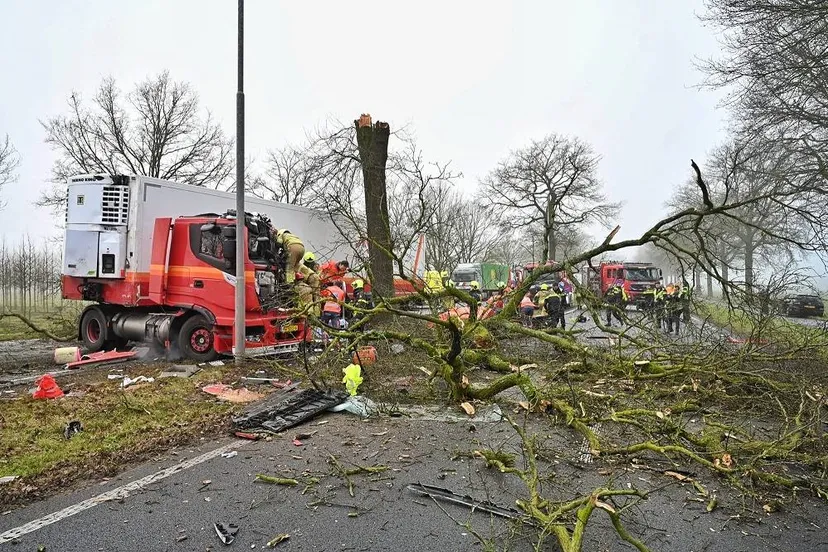 9d7be69c 9f2b 4ad8 a930 3cba14a1ed01