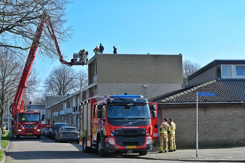 toby de kort 20250303125514 0