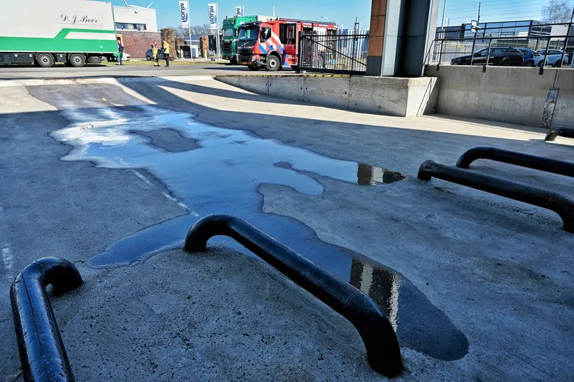 toby de kort 20250320133552 3