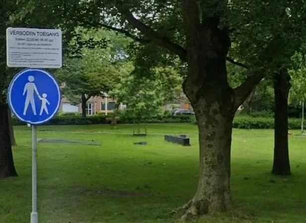 491418783 18114497512462494 1424408654169647158 n