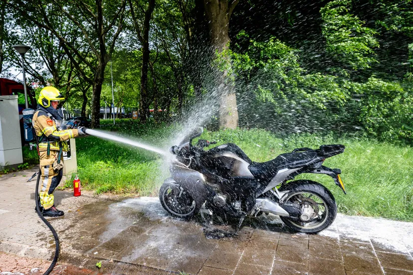 jack brekelmans 20250503143551 2