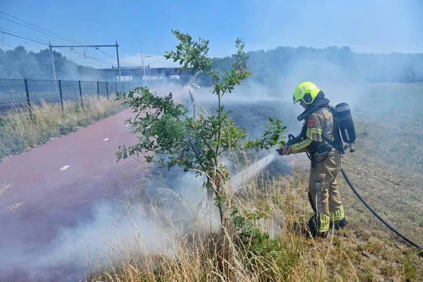 small bdd19a6b 062b 46b9 aed7 85c7946ff747 ew0hxu5miflh