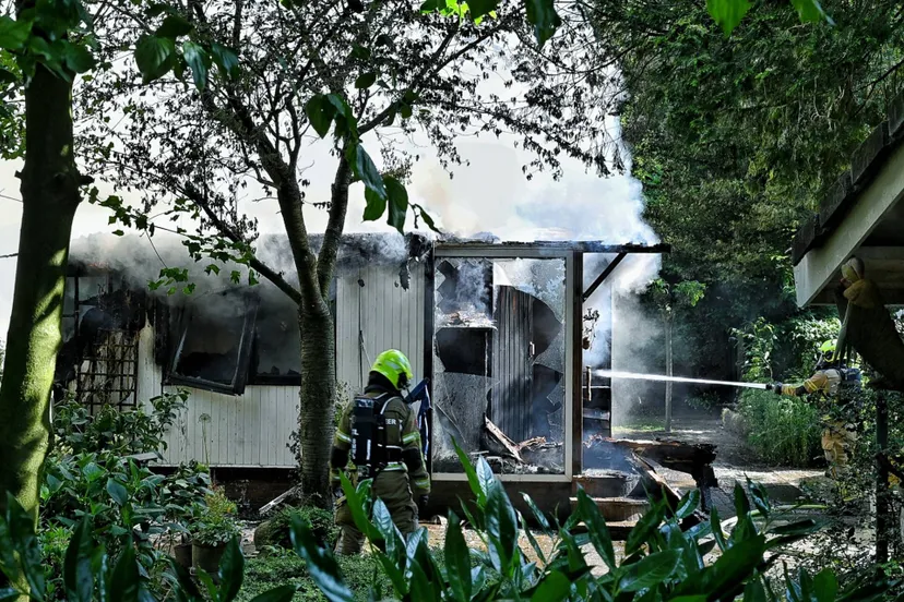 toby de kort 20250613082425 0 1