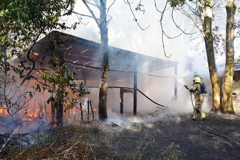 small_c4619412-da42-4db0-9f70-0f7bba02e862_FWchSkGZ0x1H