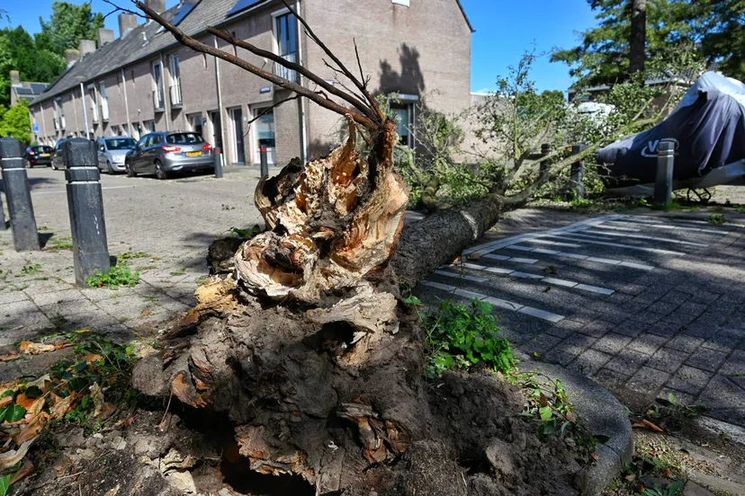 0646a8bd-8218-47cb-91d2-35c3965c2c1b