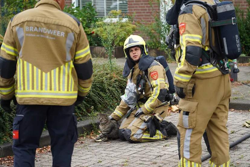 9e5cd260-8426-4ac0-adc7-62fc947fadaa