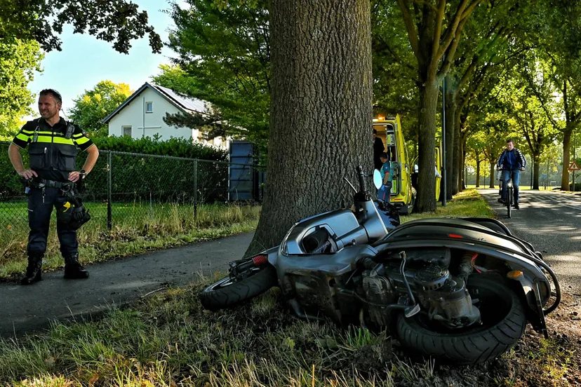 f2e9a3e2-ff02-4b4b-a815-01ac81593cc8