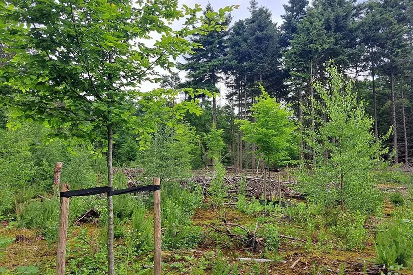 csm_heidepark_fc6ad41c6b