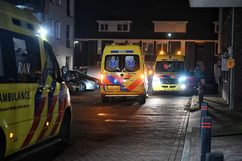 1b74cc8f-ef3a-4375-b3c4-fabdc7d1b5b8