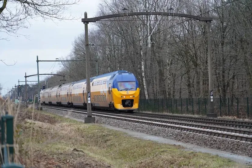 img-0395-6775589393806