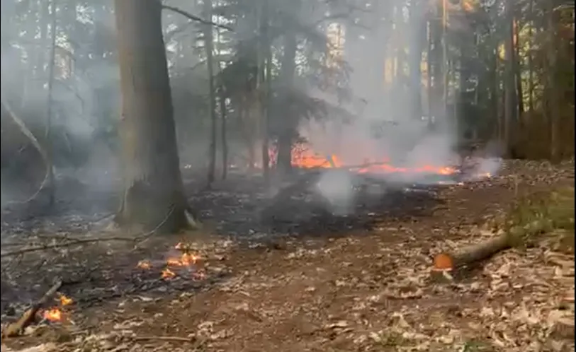 Schermafbeelding 2026-04-24 205254