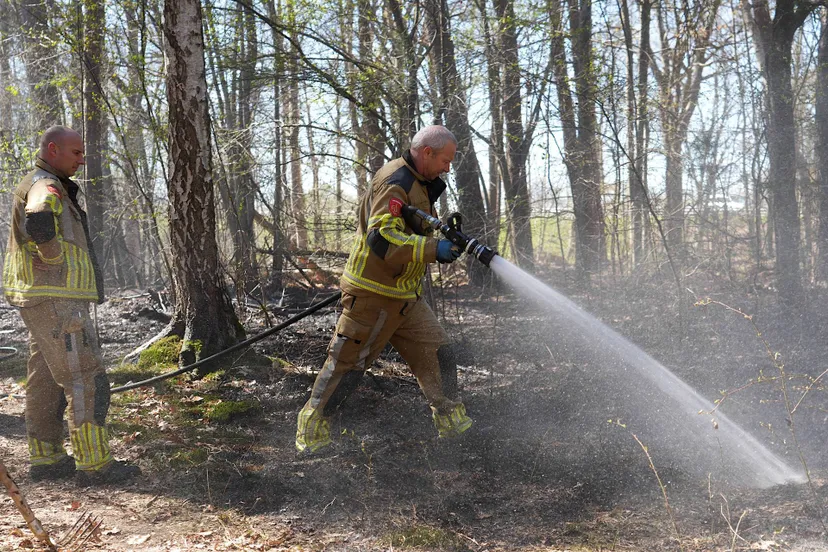 small_2bac2600-cb53-4cda-90db-fa57ae6dc90f