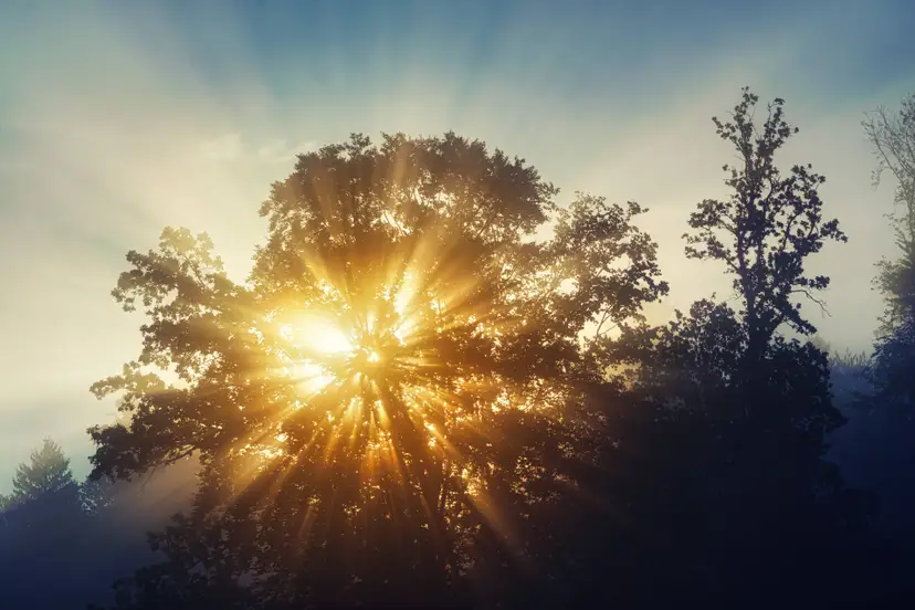 jplenio-sunrays-8283601