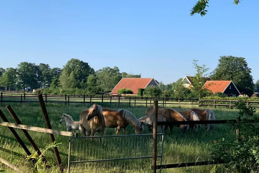 106011459 1193763530986251 3652720394741088152 n e1593154951887