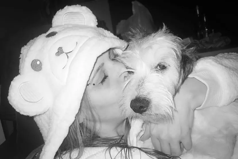 11043081 405648336280588 6997665943131931899 n