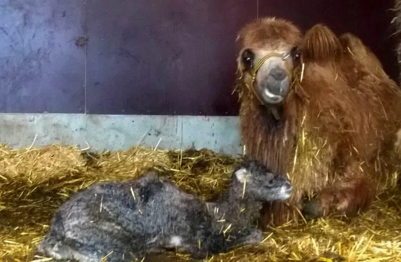 11146567 858759614183624 8557129986305577519 n