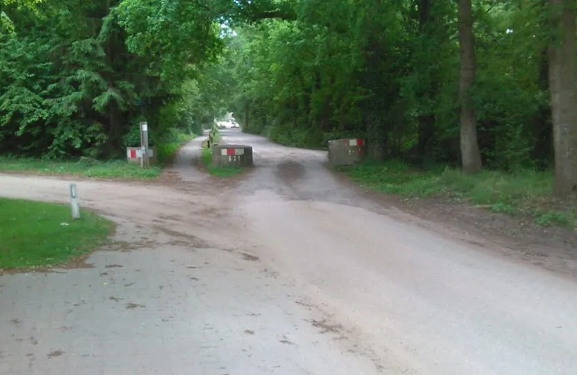 11350471 1613741915579597 6312130147813961901 n