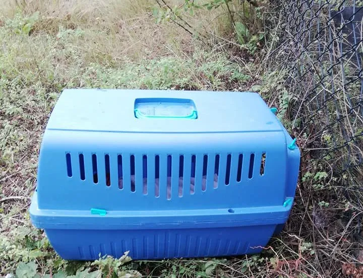 117988356 2684479768466860 468562651061464672 n e1598001191642