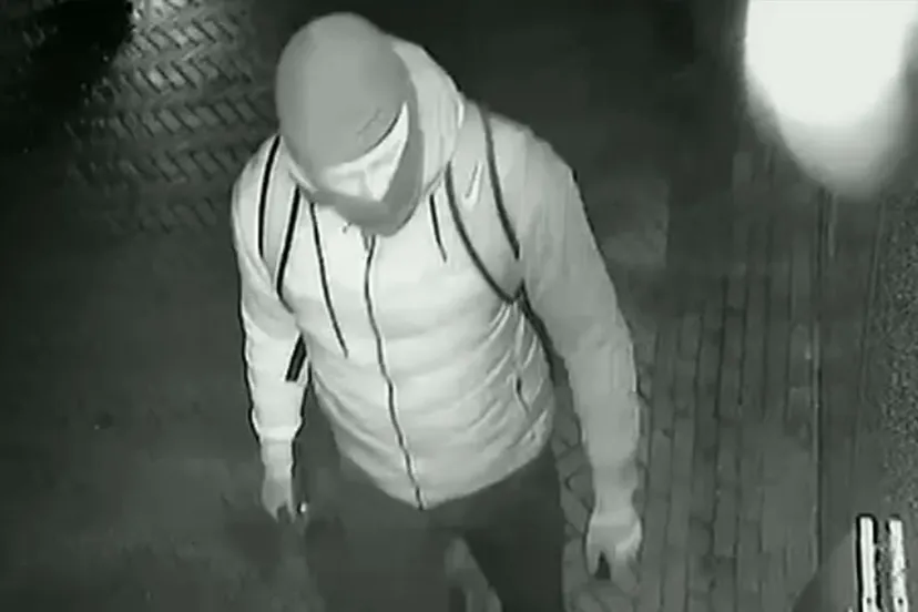 119738 oostnl plof dada e1576015688946