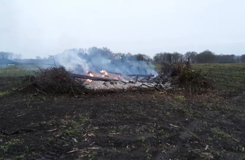 12342859 970634663013825 9010208958257312408 n