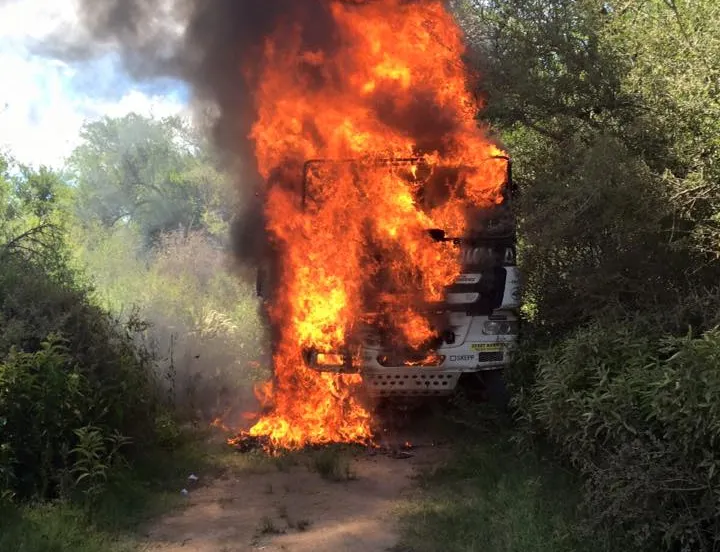 12510324 1060829623940601 104030816743111952 n